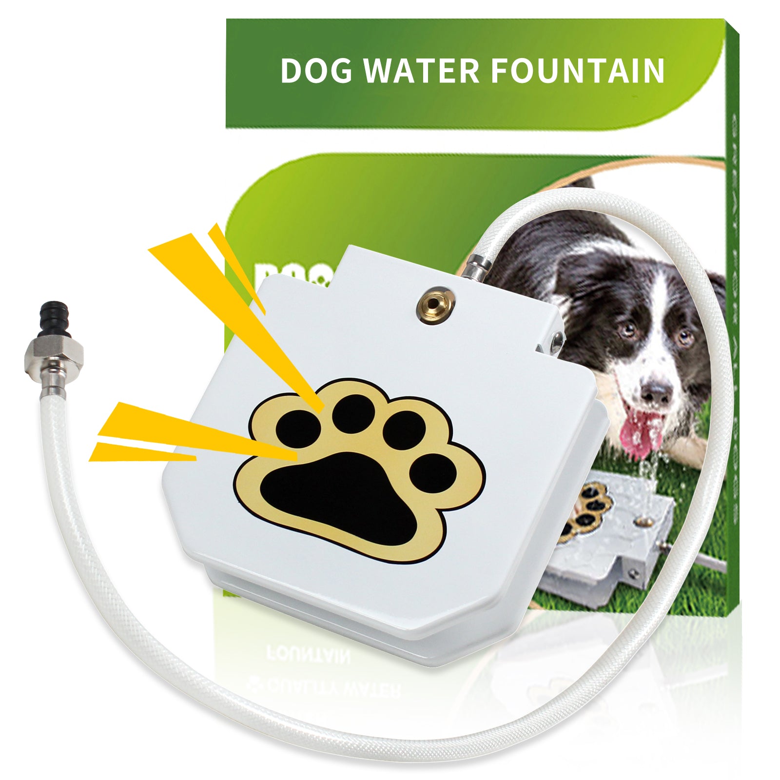brian-dany-pet-supply-fontaine-eau-chien-p-dale-laiton image 7