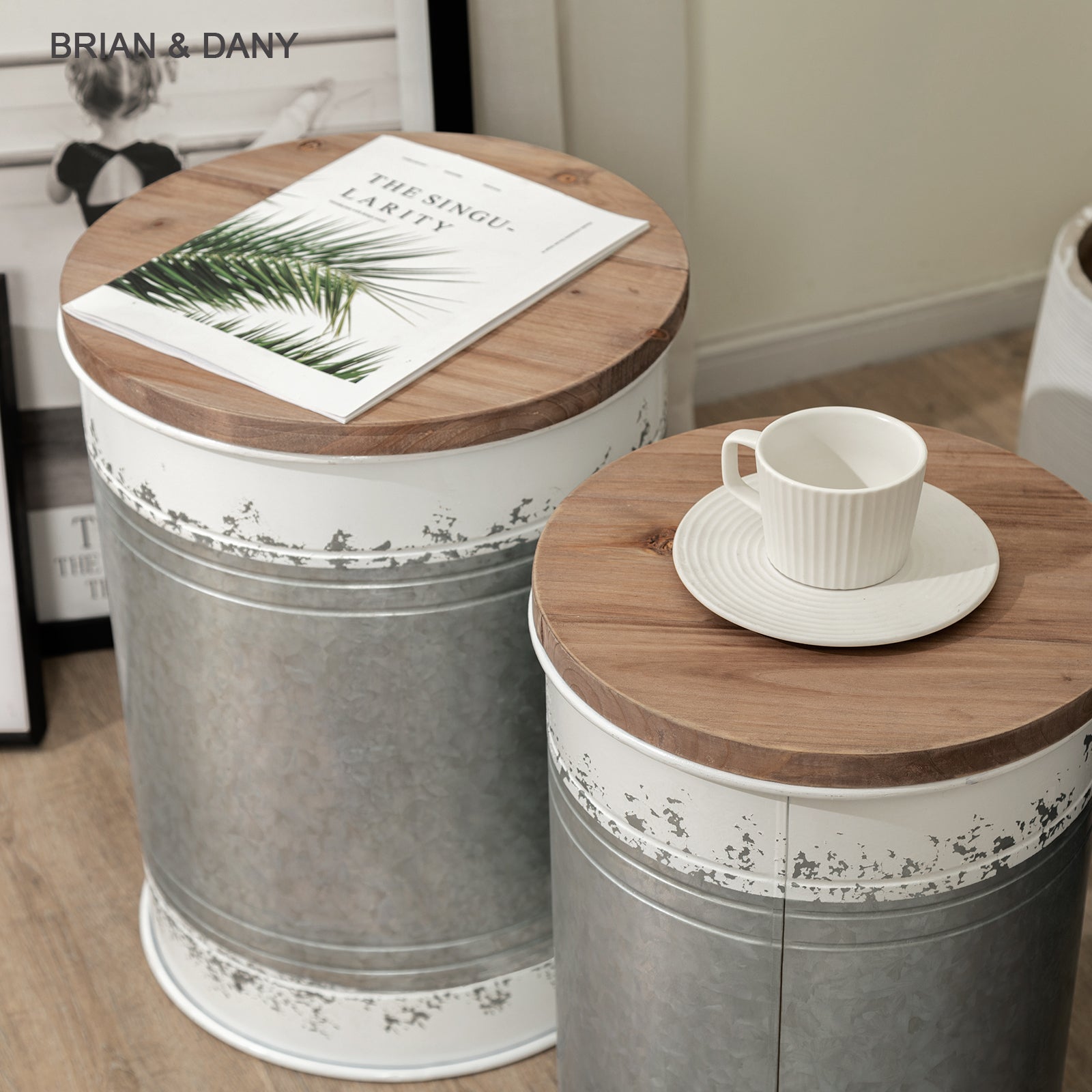 brian-dany-ottoman-lot-2-tables-appoint-coffre-blanc image 8