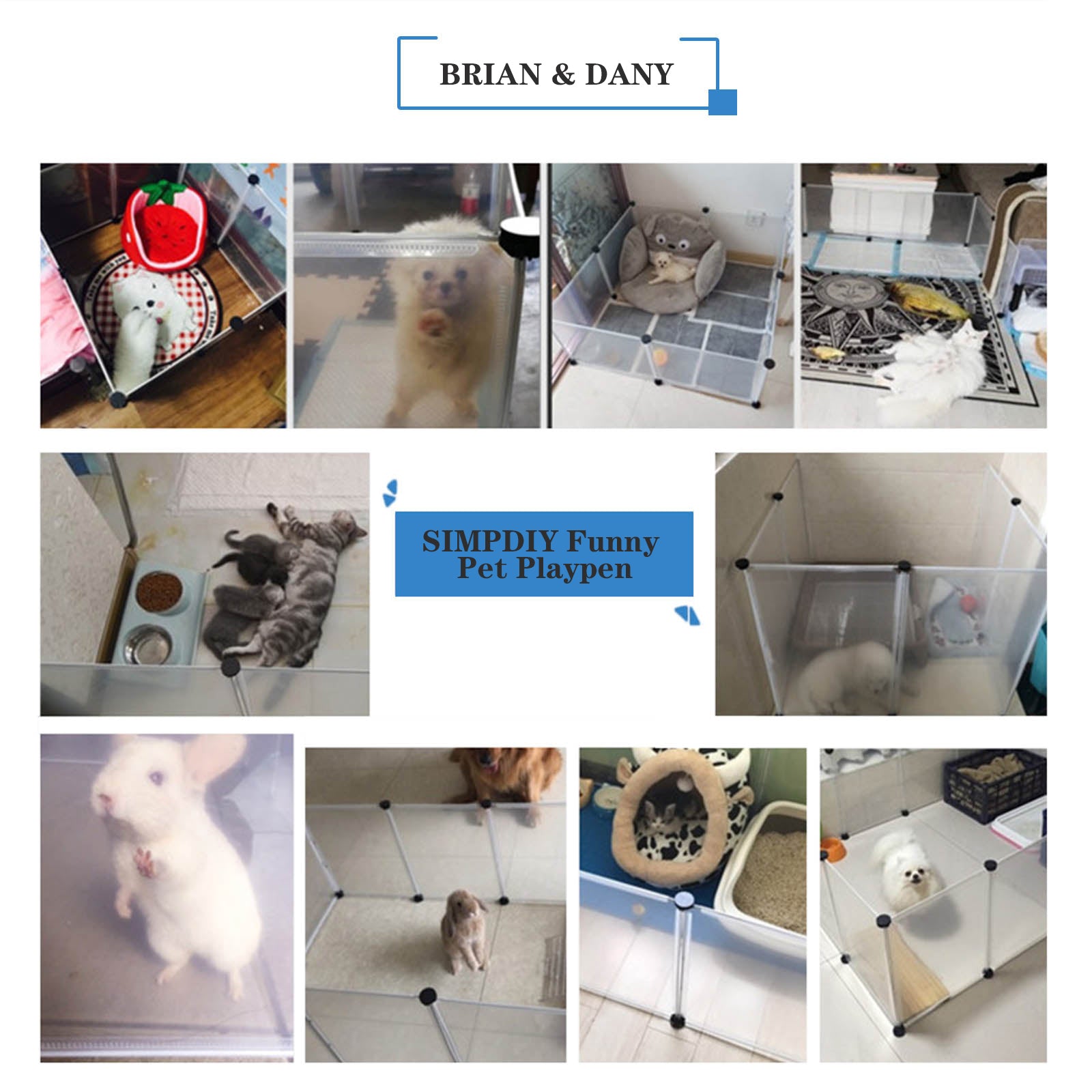 brian-dany-pet-supply-parc-chien-12-panneaux-modulable image 8