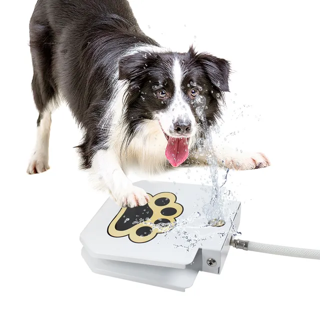 brian-dany-pet-supply-fontaine-eau-chien-p-dale-laiton image 1