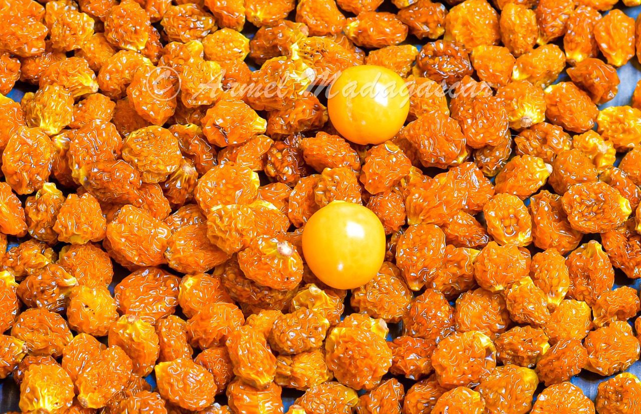 mille-saveurs-madagascar-physalis-bio-s-ch-s-100-g-sans-sucre-ajout image 4