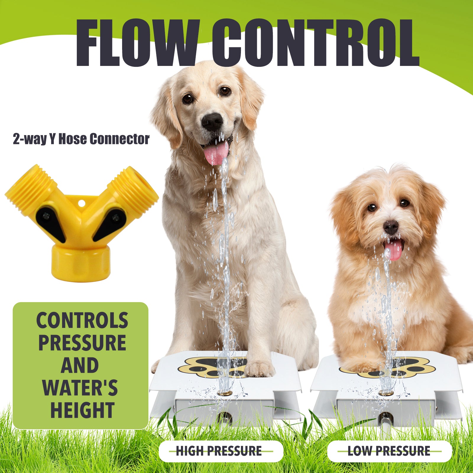 brian-dany-pet-supply-fontaine-eau-chien-p-dale-laiton image 4